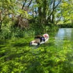 穏やかな川の流れに身を任せてSUPで浮かぶ様子