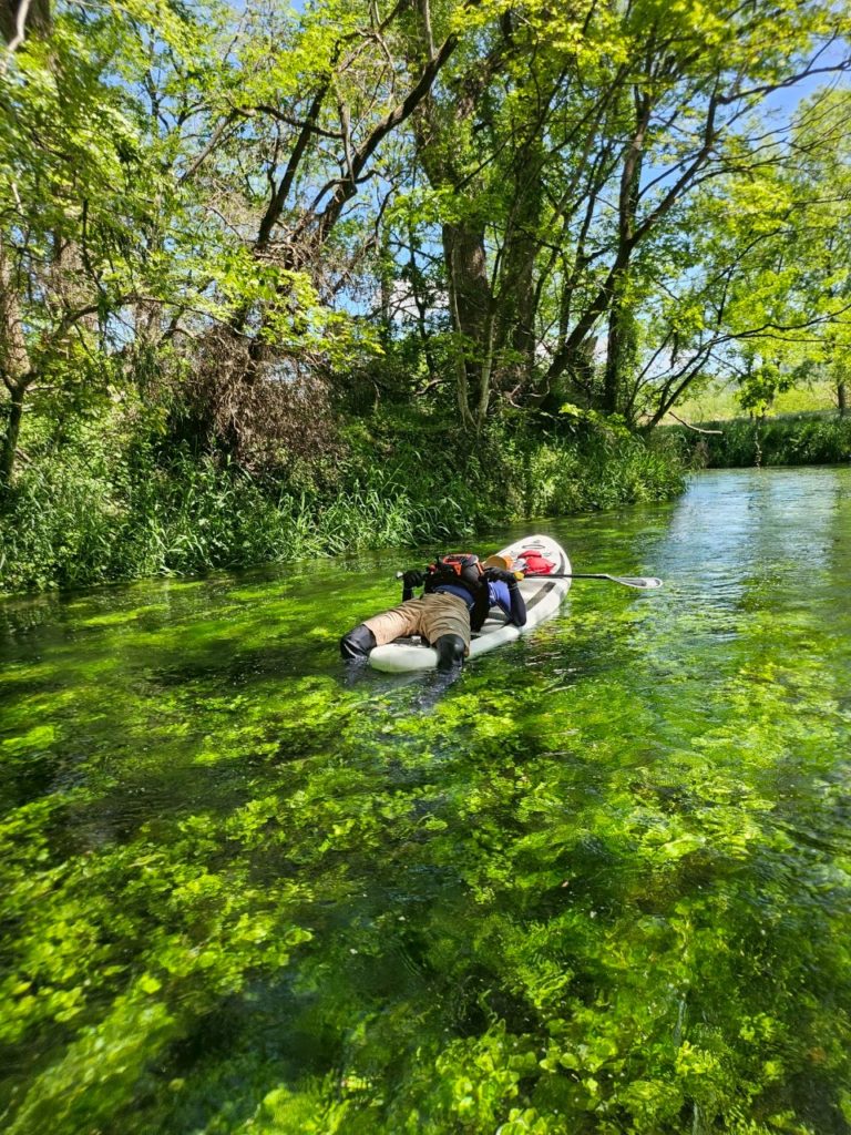 穏やかな川の流れに身を任せてSUPで浮かぶ様子